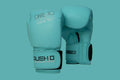 Limitless Blue RUSHIO boxing Gloves