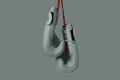 RUSHIO Boxing Gloves - Duel Lock - Engineered Leather
